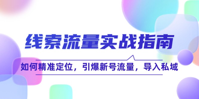 （12382期）线 索 流 量-实战指南：如何精准定位，引爆新号流量，导入私域-泡芙轻资产网创