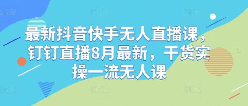 最新抖音快手无人直播课，钉钉直播8月最新，干货实操一流无人课-泡芙轻资产网创