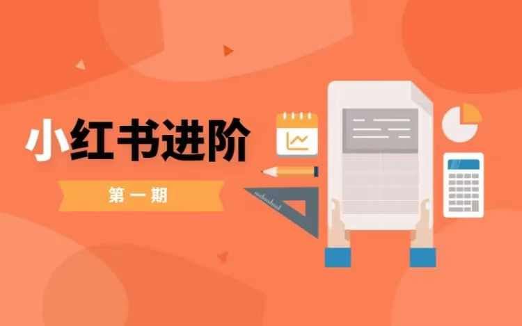 小红书进阶篇，零基础小白实战课，普通人变现的课程-泡芙轻资产网创