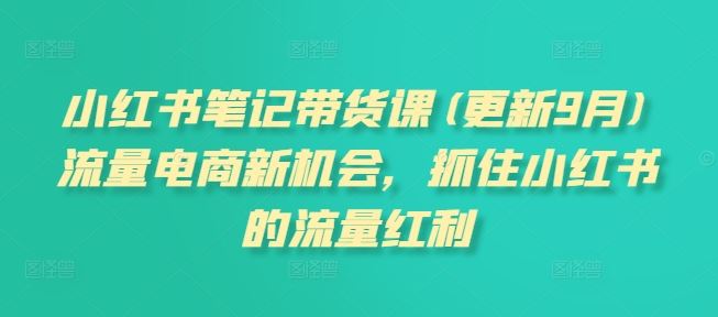 小红书笔记带货课(更新9月)流量电商新机会，抓住小红书的流量红利-泡芙轻资产网创