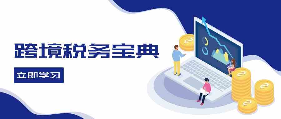 跨境税务宝典教程：跨境电商全球税务处理策略-泡芙轻资产网创