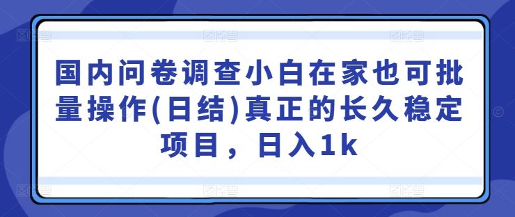 国内问卷调查小白在家也可批量操作(日结)真正的长久稳定项目，日入1k【揭秘】-泡芙轻资产网创