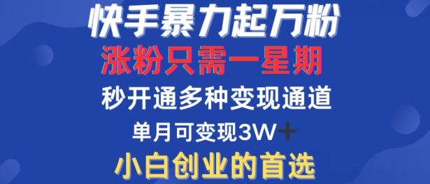 快手暴力起万粉，涨粉只需一星期，多种变现模式，直接秒开万合，单月变现过W【揭秘】-泡芙轻资产网创