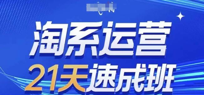 淘系运营21天速成班(更新24年9月)，0基础轻松搞定淘系运营，不做假把式-泡芙轻资产网创