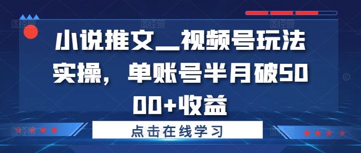 小说推文—视频号玩法实操，单账号半月破5000+收益-泡芙轻资产网创