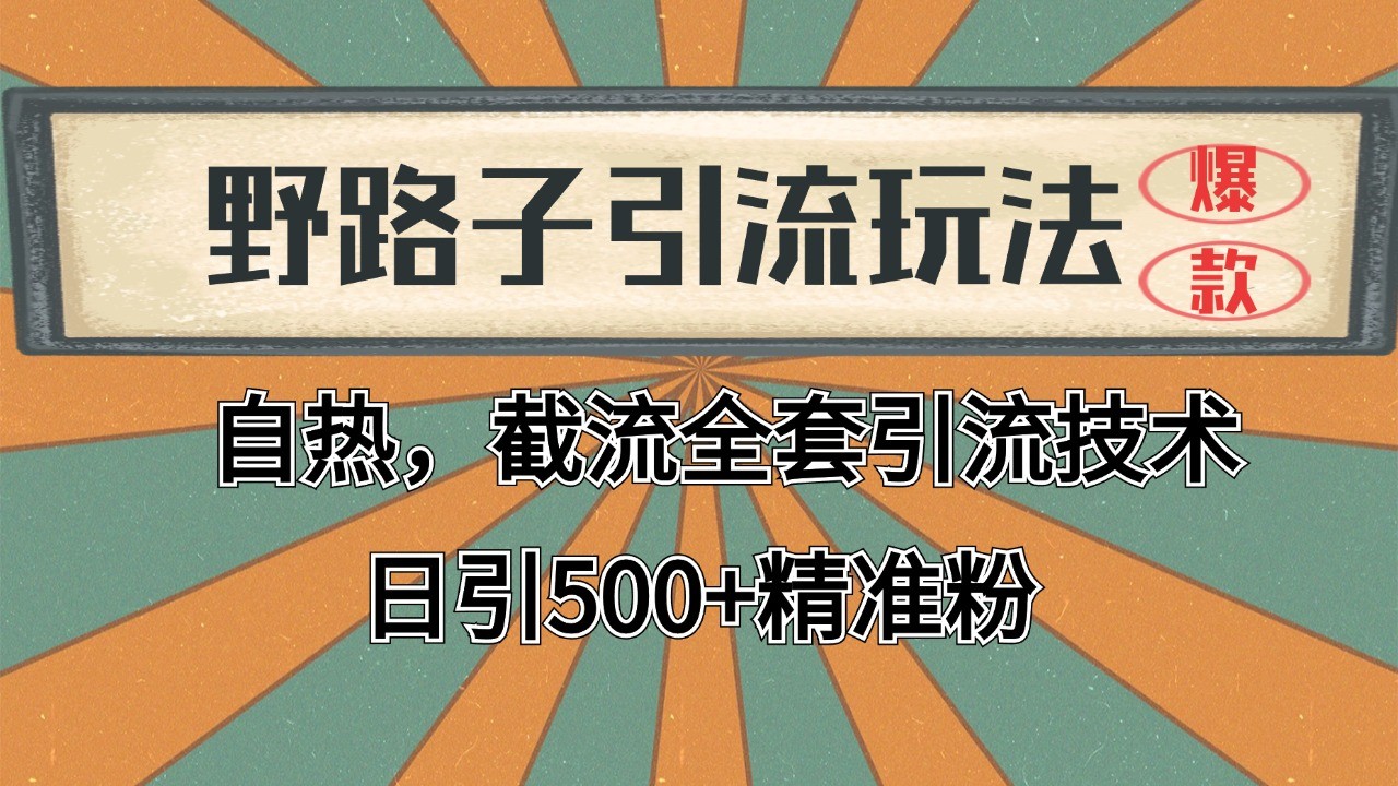 抖音小红书视频号全平台引流打法，全自动引流日引2000+精准客户-泡芙轻资产网创