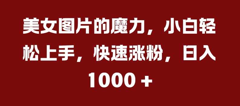 美女图片的魔力，小白轻松上手，快速涨粉，日入几张【揭秘】-泡芙轻资产网创