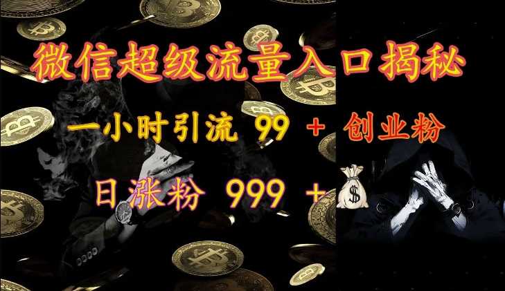 微信超级流量入口揭秘：一小时引流 99 + 创业粉，日涨粉 999 +-泡芙轻资产网创