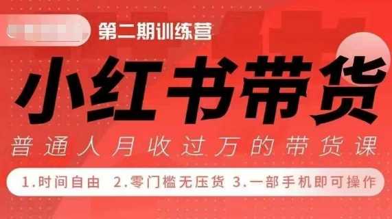 小Red书带货42天训练营 2.0版，宝妈+自由职+上班族+大学生，提高副业收入的大红利项目-泡芙轻资产网创