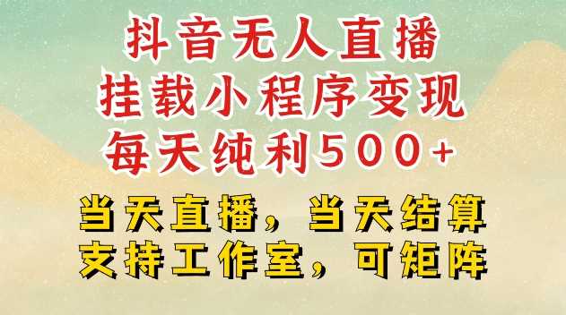 抖音无人直播挂载小程序变现每天纯利500+当天直播，当天结算支持工作室，可矩阵【揭秘】-泡芙轻资产网创