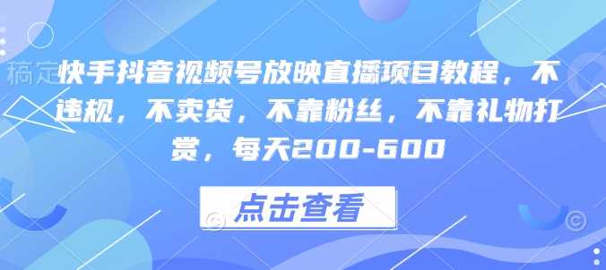 快手抖音视频号放映直播项目教程，不违规，不卖货，不靠粉丝，不靠礼物打赏，每天200-600-泡芙轻资产网创