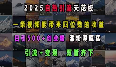 2025自热引流天花板，一条视频能带来四位数的收益，引流+变现双管齐下，日引500+创业粉，涨粉嘎嘎猛-泡芙轻资产网创