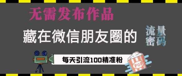 藏在微信朋友圈的流量密码，无需发布作品，单日引流100+精准创业粉【揭秘】-泡芙轻资产网创