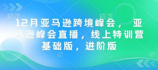 12月亚马逊跨境峰会， 亚马逊峰会直播，线上特训营基础版，进阶版-泡芙轻资产网创