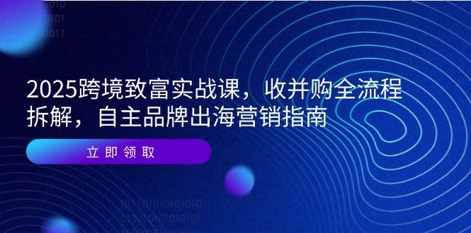（14975期）2025跨境致富实战课，收并购全流程拆解，自主品牌出海营销指南-泡芙轻资产网创