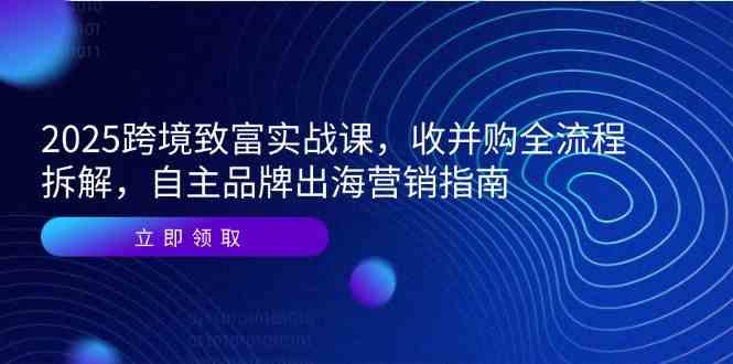 2025跨境致富实战课，收并购全流程拆解，自主品牌出海营销指南-泡芙轻资产网创