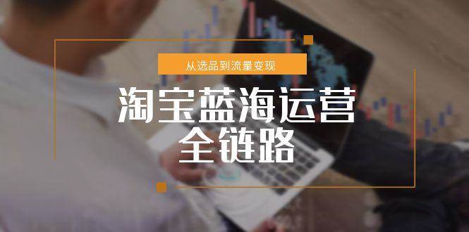 （15160期）淘宝蓝海运营全链路，从选品到流量变现，小类目突围完整方案-泡芙轻资产网创