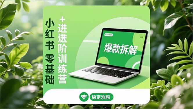 （16801期）小红书零基础+高阶训练营：安全养号、爆款拆解、长效运营，实现稳定涨粉与变现-泡芙轻资产网创